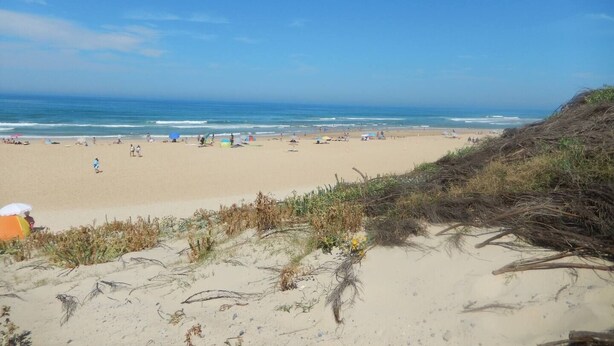 Ein Strand mit Sand, Meer und Dünen.