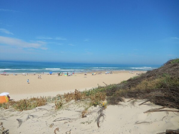 A beach with sand, ocean, and dunes. - A family home in a quiet setting between the forest, the lake, and the ocean, just 5 minutes from the beaches. (Vielle-Saint-Girons)