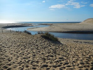 Playa en los alrededores y camastros 