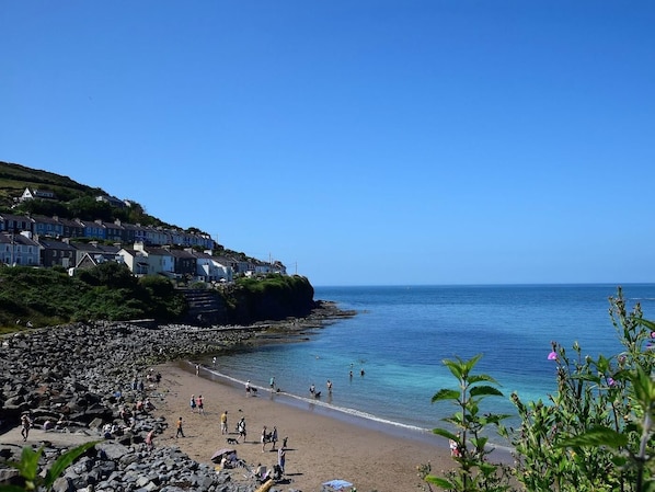 A coastal town with houses on a hillside, a rocky beach, and clear blue water.