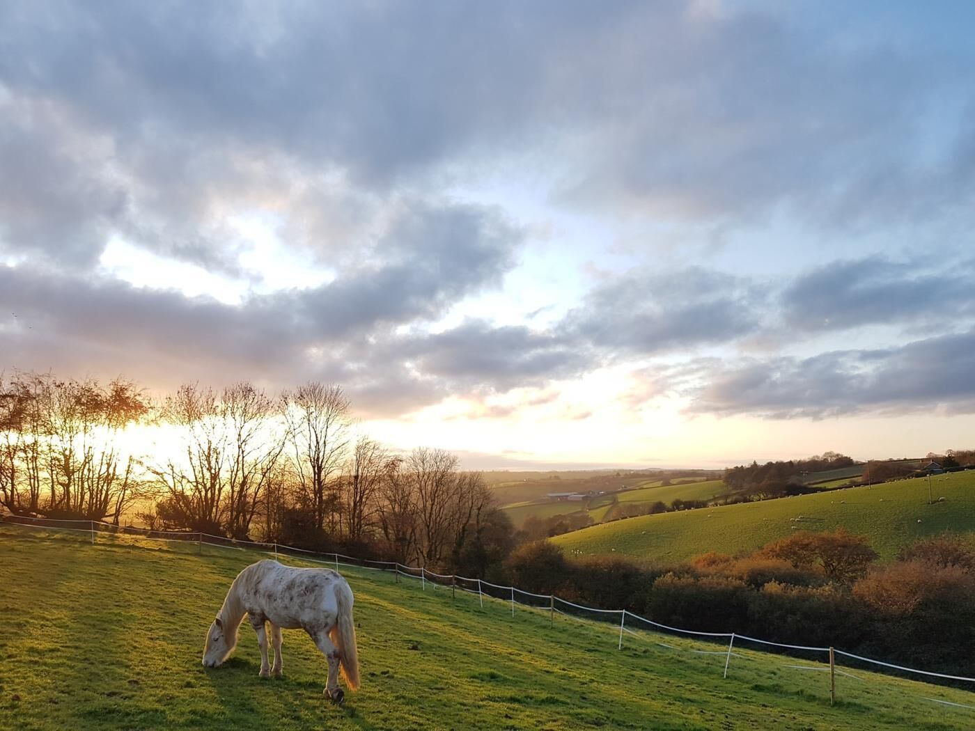 A horse grazing on a grassy hill with a fence in the foreground and a cloudy sky in the background.