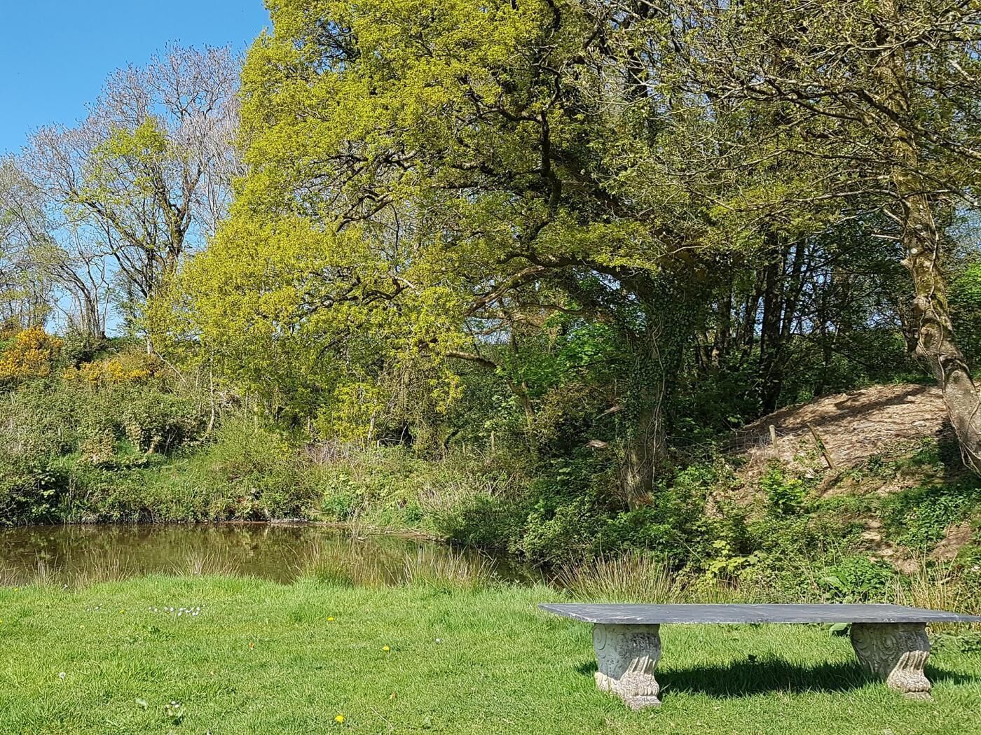Ein Park mit Teich, Rasenfläche und Steinsitzbank.