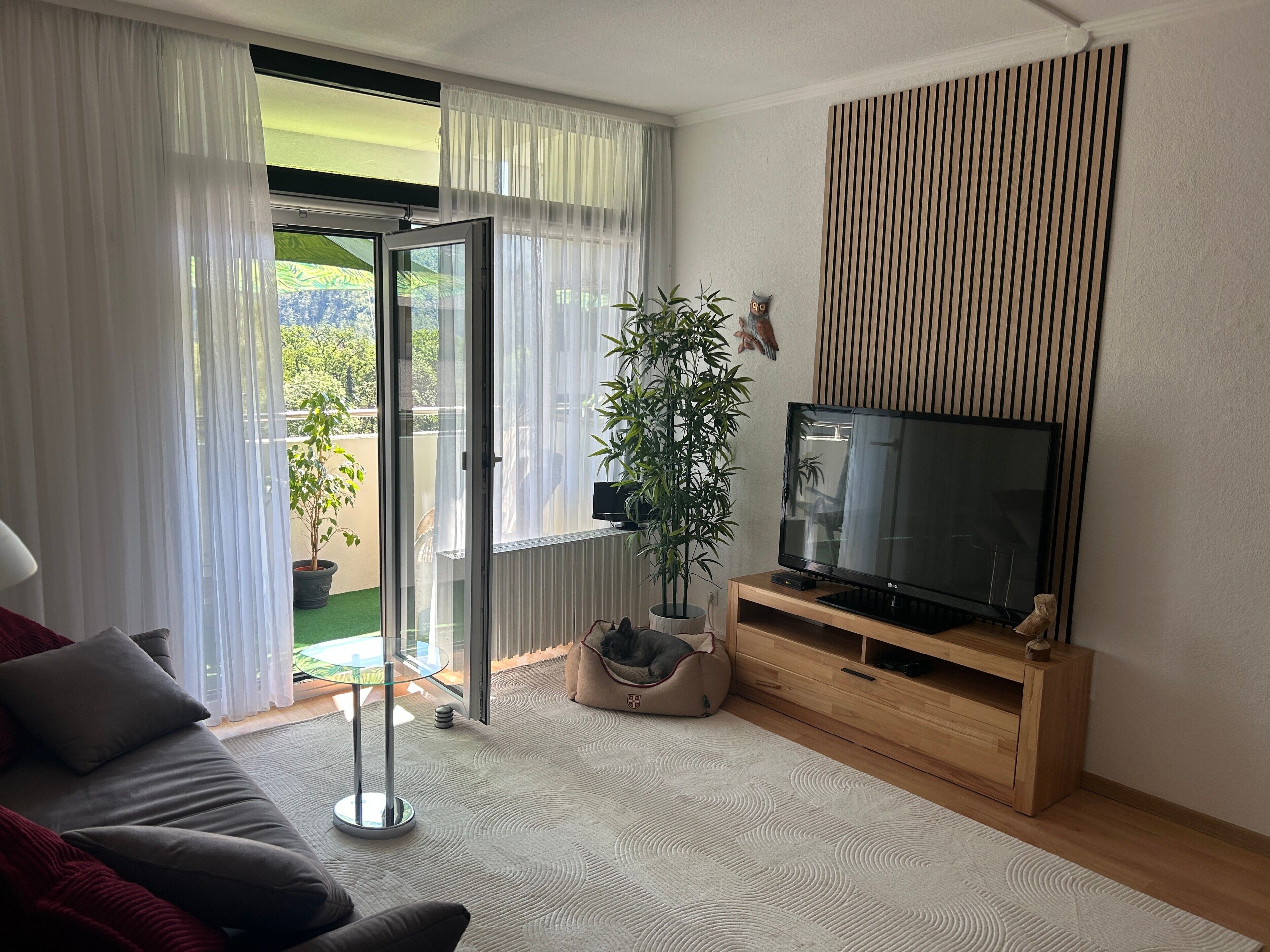 Tv, ett bordtennisbord och en stereo