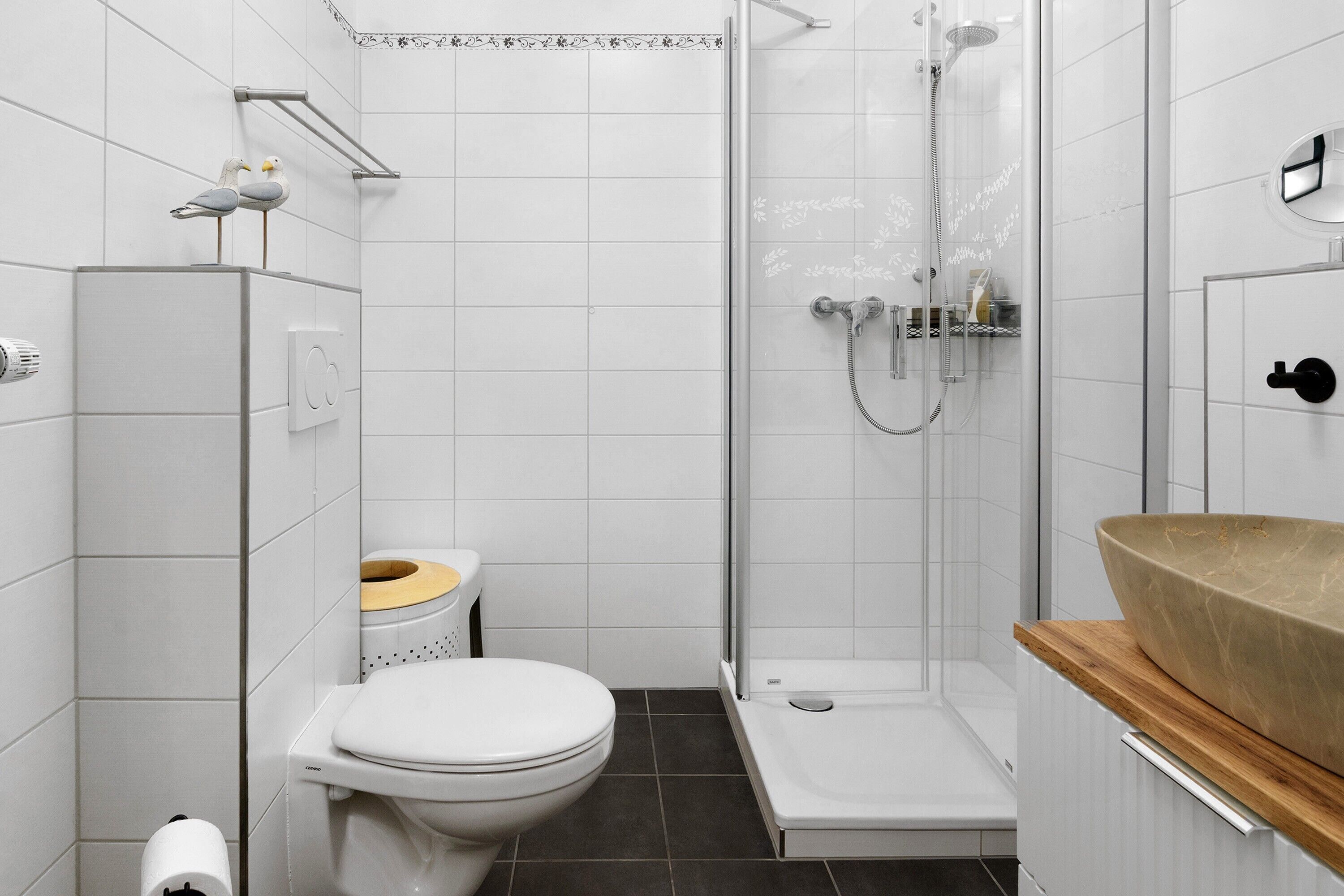 Shower, hair dryer, towels