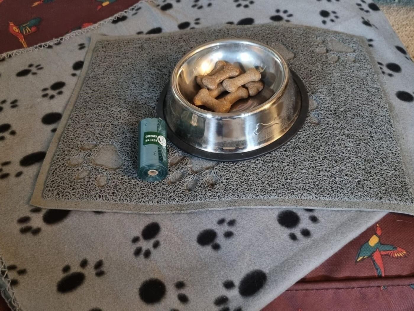 Une gamelle pour animaux de compagnie contenant de la nourriture et une bouteille d’eau Green Earth Walker, le tout posé sur un tapis adapté aux animaux.