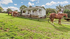 A white building with a porch, surrounded by a fenced area with horses. - 1 Bed in Torpoint (oc-78680) (Deviock)