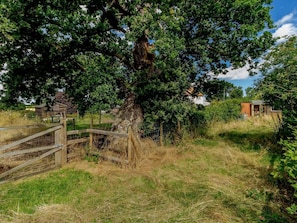 Property grounds - 3 Bed in North Walsham (oc-78708) (Honing)