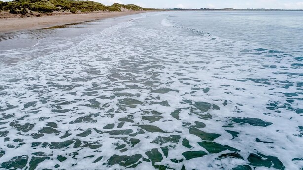 Una playa con agua cristalina y una orilla de arena.