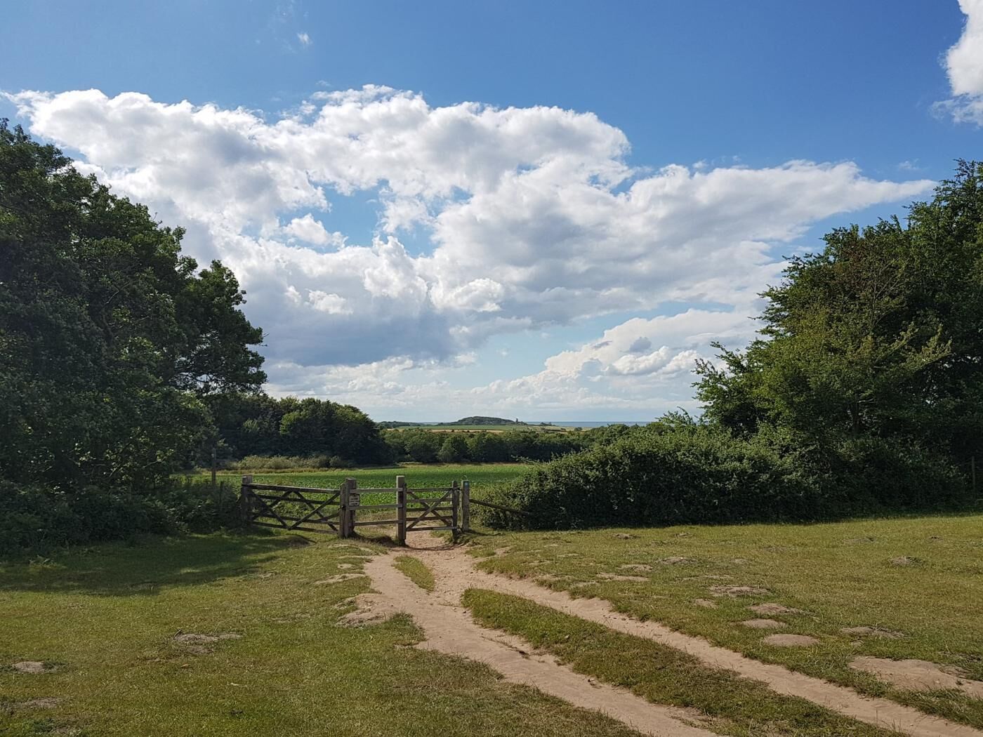 Een landelijk landschap met een onverharde pad dat leidt naar een houten poort, omringd door groen, onder een gedeeltelijk bewolkte lucht.
