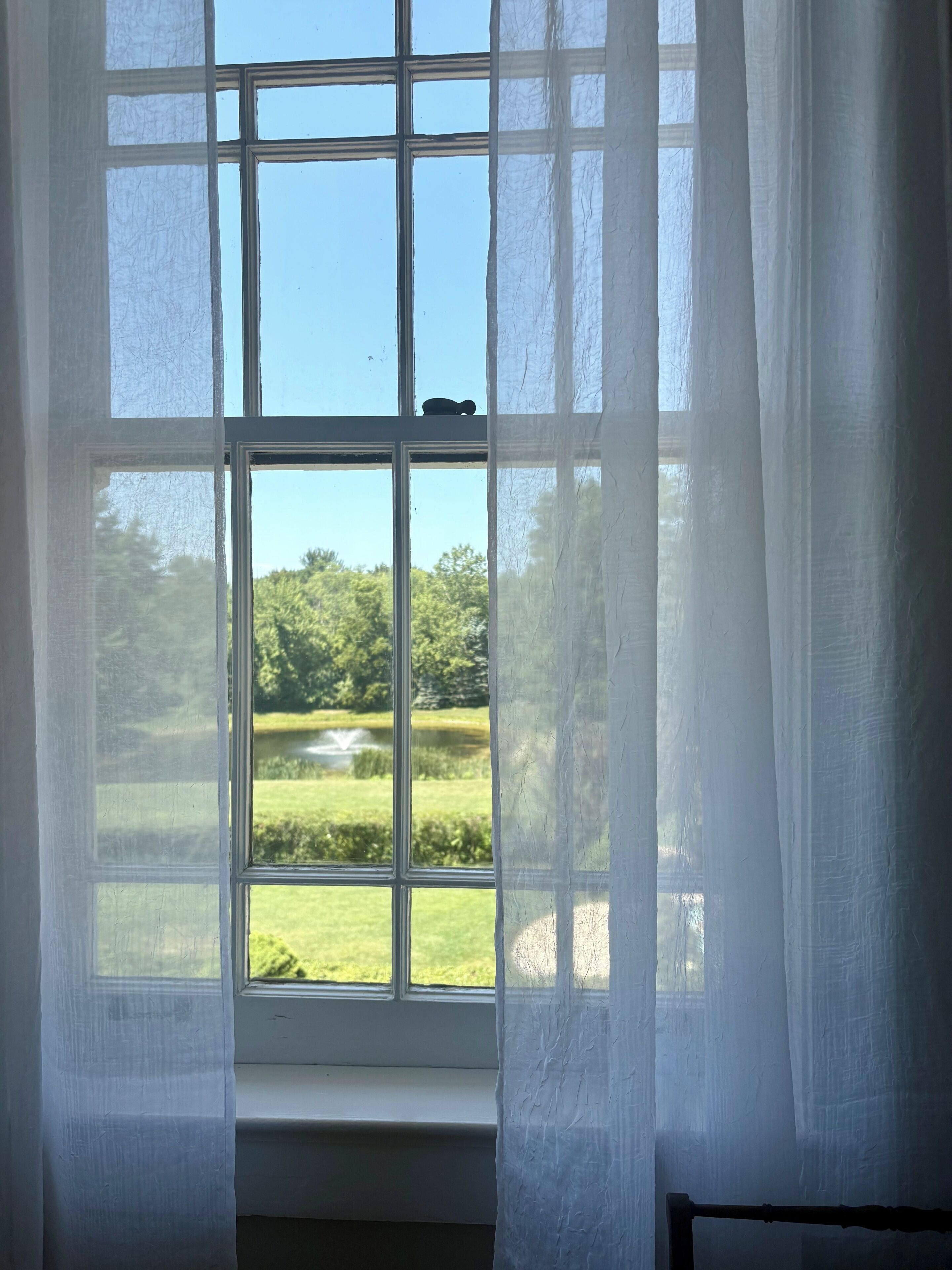 A window with a view of a green landscape.