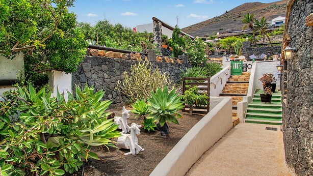 A garden with stone walls, a staircase, and various plants.