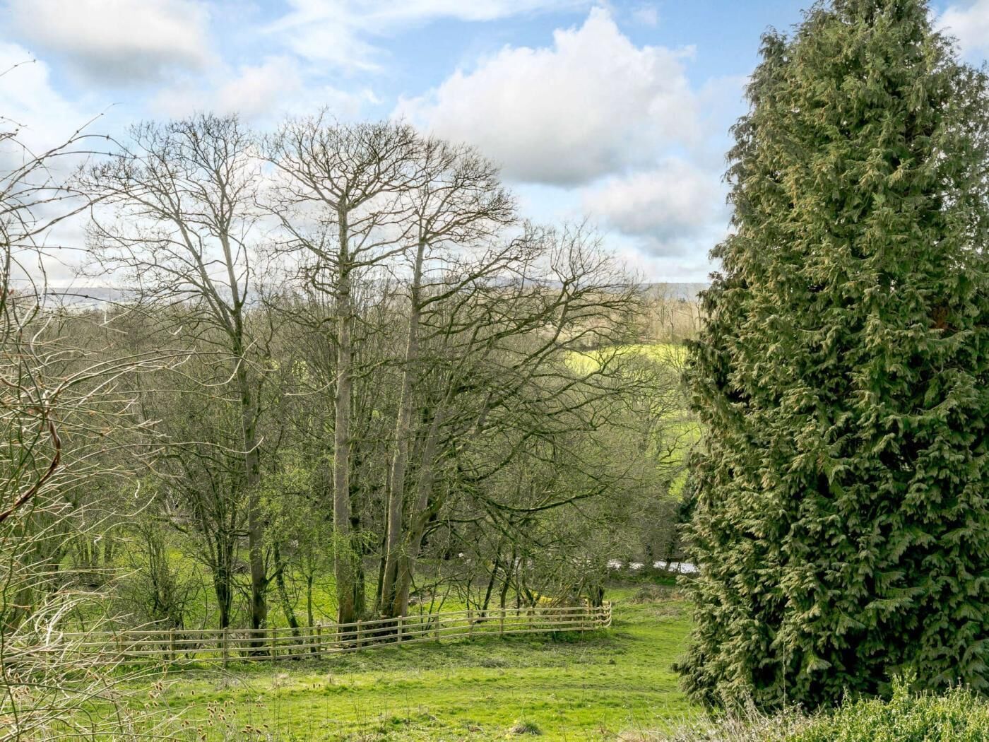 Paisaje rural con árboles, una cerca y un gran árbol de hoja perenne.