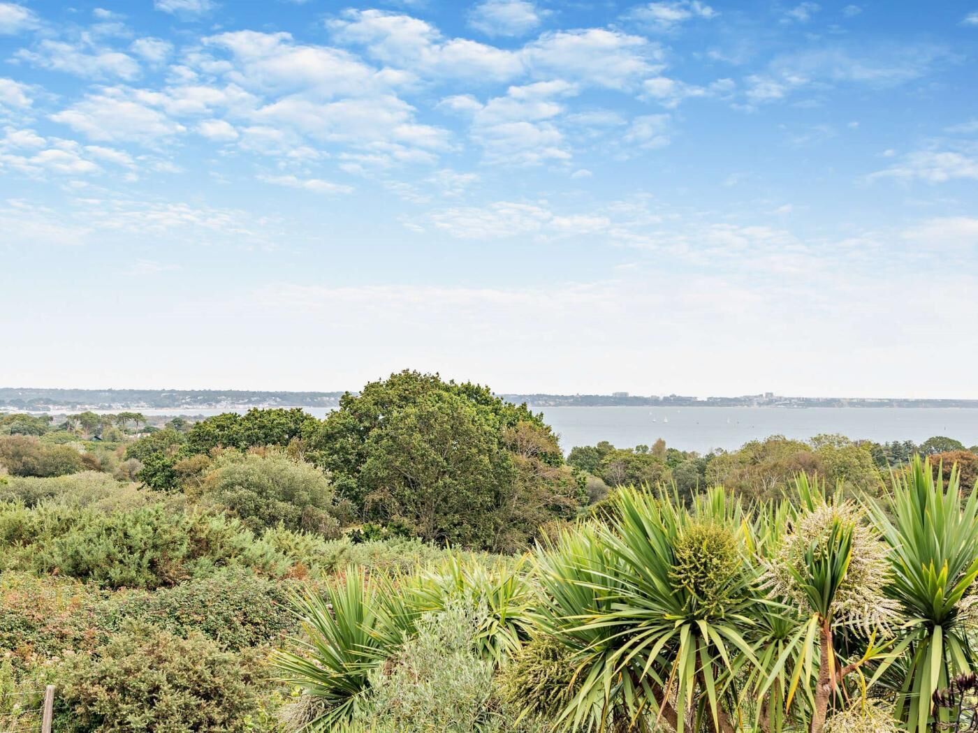A coastal landscape with dense vegetation and a view of the sea.