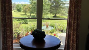 A window with a view of a garden, a round table with a green object on it, and patterned curtains.