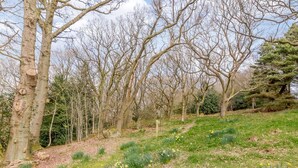 A natural landscape with trees, a grassy area, and daffodils. - 1 Bed in Harrogate (oc-76511) (Summerbridge)