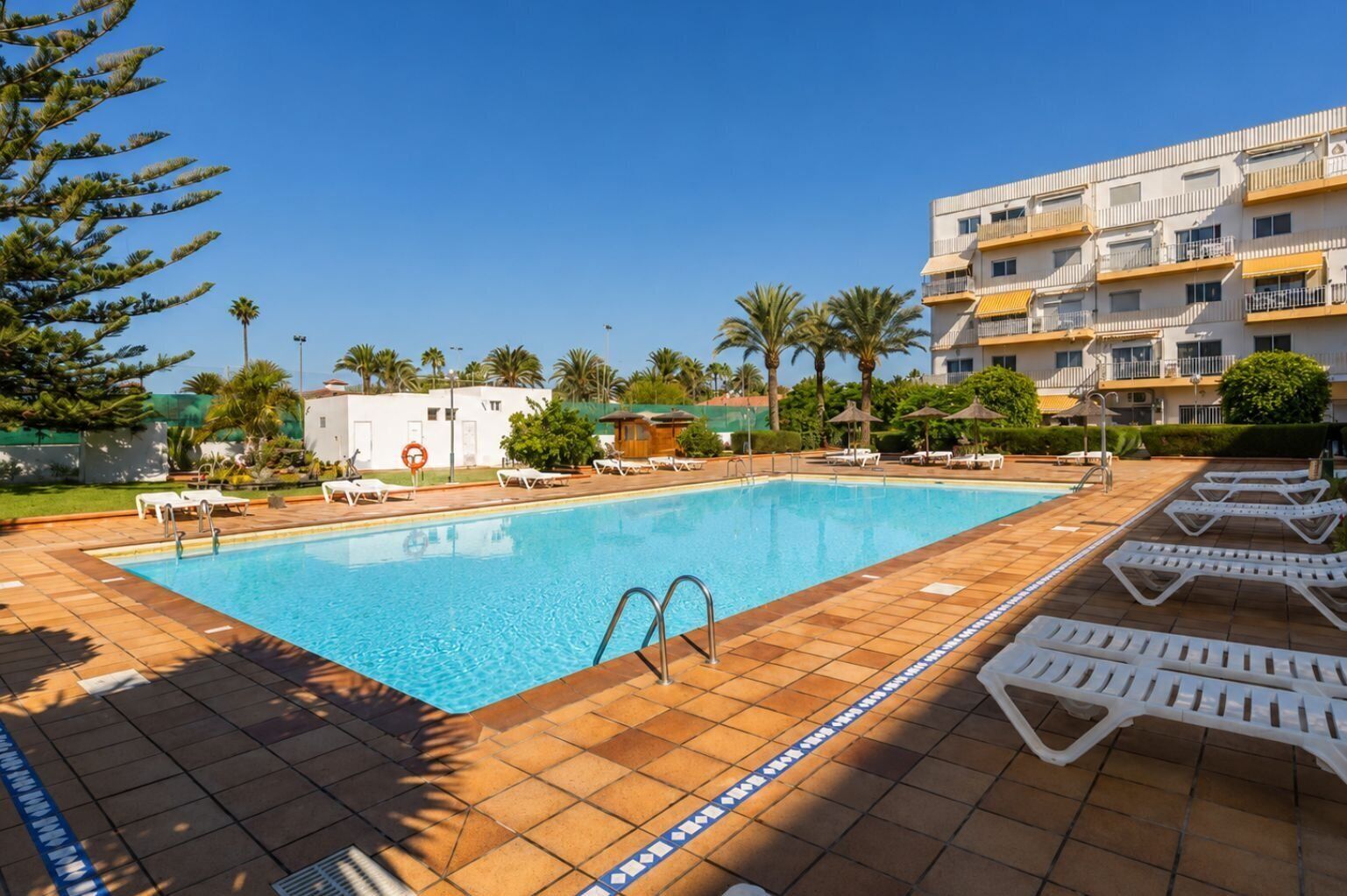Piscina rectangular con solárium alicatado, rodeada de sillas de descanso y palmeras.