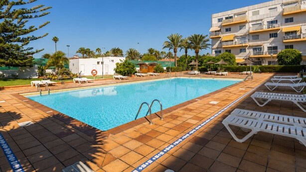 A rectangular swimming pool with a tiled deck, surrounded by lounge chairs and palm trees. - GuestReady - Tenesor Sun Beach Resort (Las Palmas de Gran Canaria)