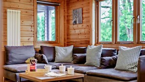 Interior acolhedor de uma cabana com um sofá, uma mesa com chávenas e um radiador.