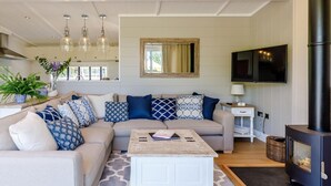 A living room with a sofa, coffee table, TV, fireplace, and pendant lights. - 2 Bed in Ludlow (oc-78025) (Richards Castle)
