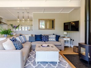 TV, fireplace - 2 Bed in Ludlow (oc-78025) (Richards Castle)