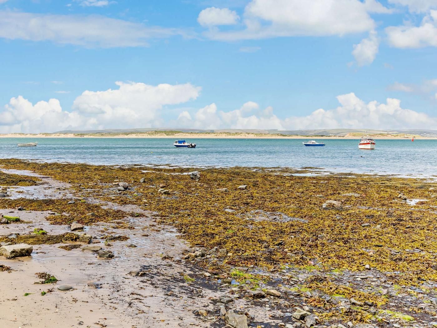 Ein Strand mit Booten auf dem Wasser und Seegras am Ufer.
