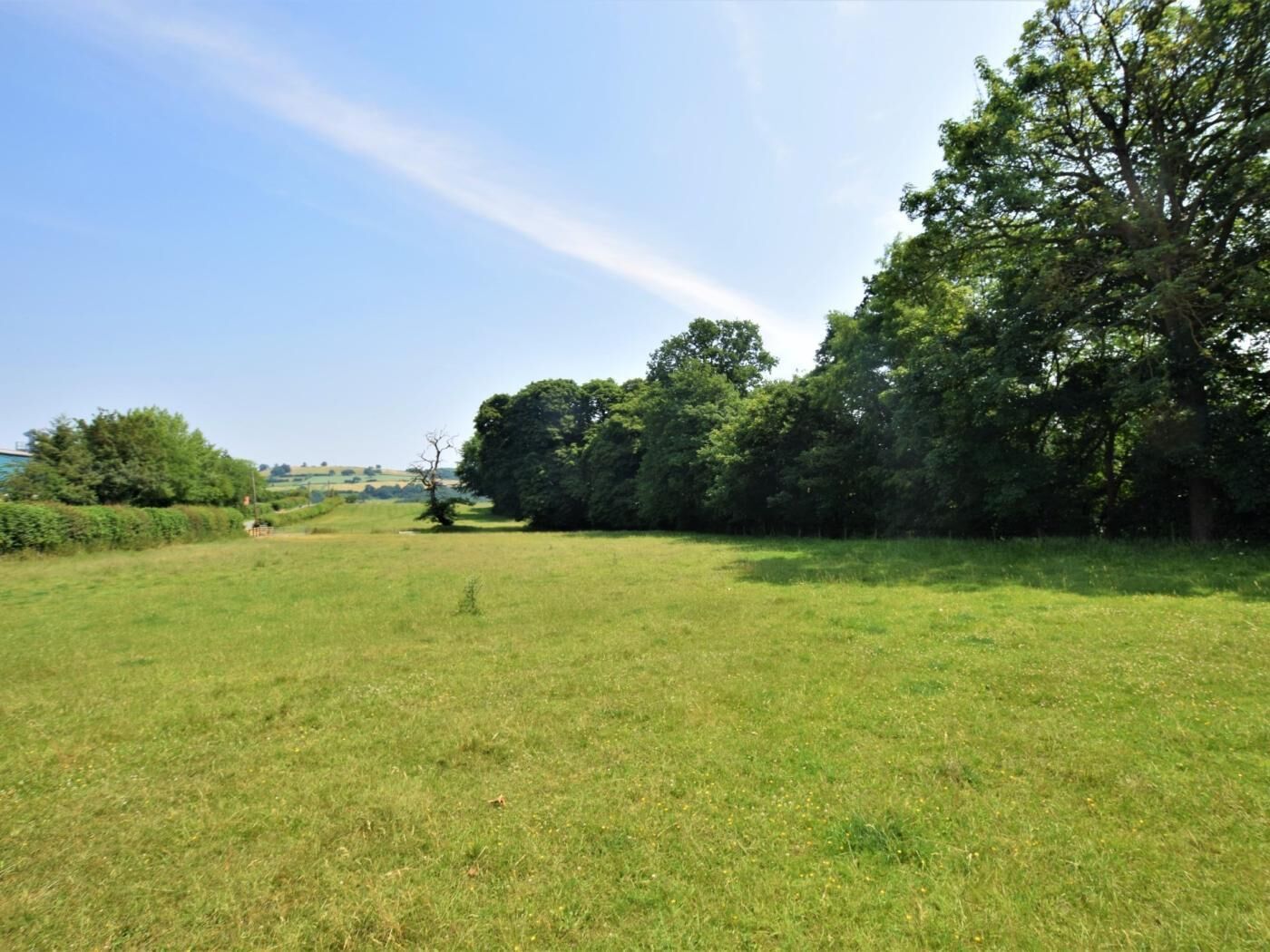 A grassy field with trees and a clear sky.
