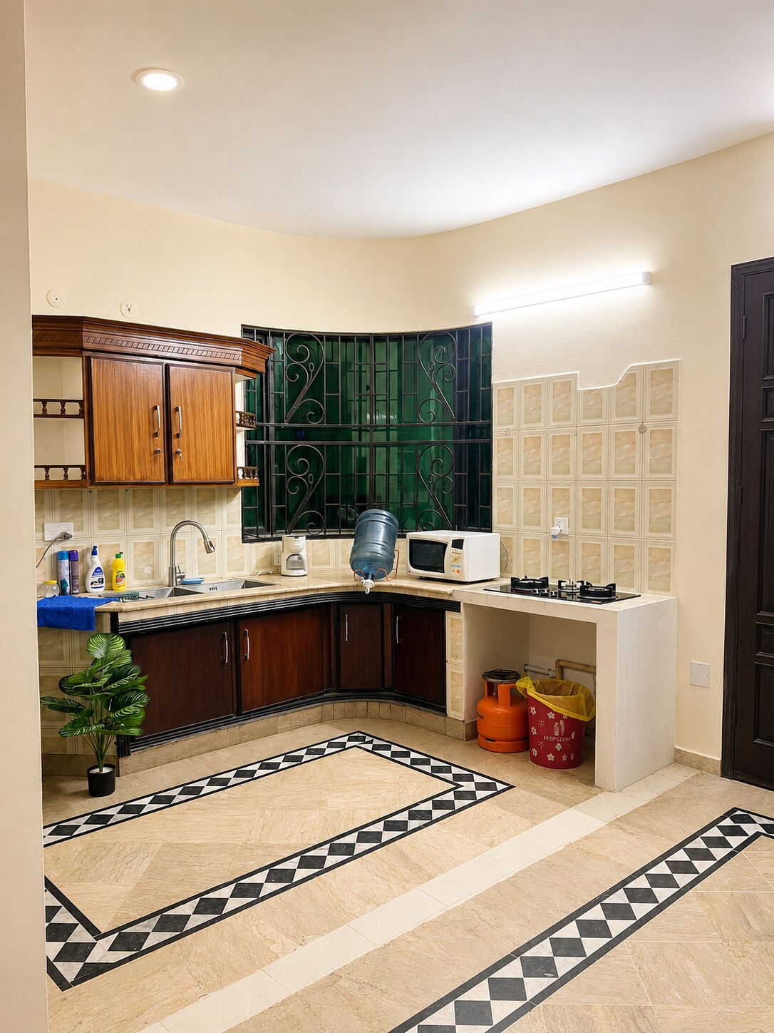 A compact kitchen with a microwave, sink, and gas stove. There is a small plant and a patterned rug on the floor.