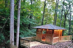 Property grounds - Stunning, huge 5 bdrm log home- Canoe/firepi!t/pet (lake lure)