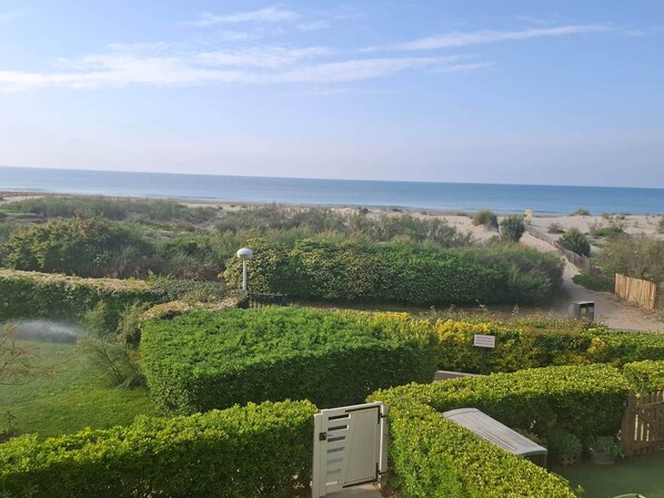 Playa