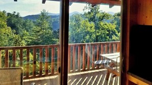 Interior - Huge River/Mountain Views!3story log/canoes/ pet (Lake Lure)