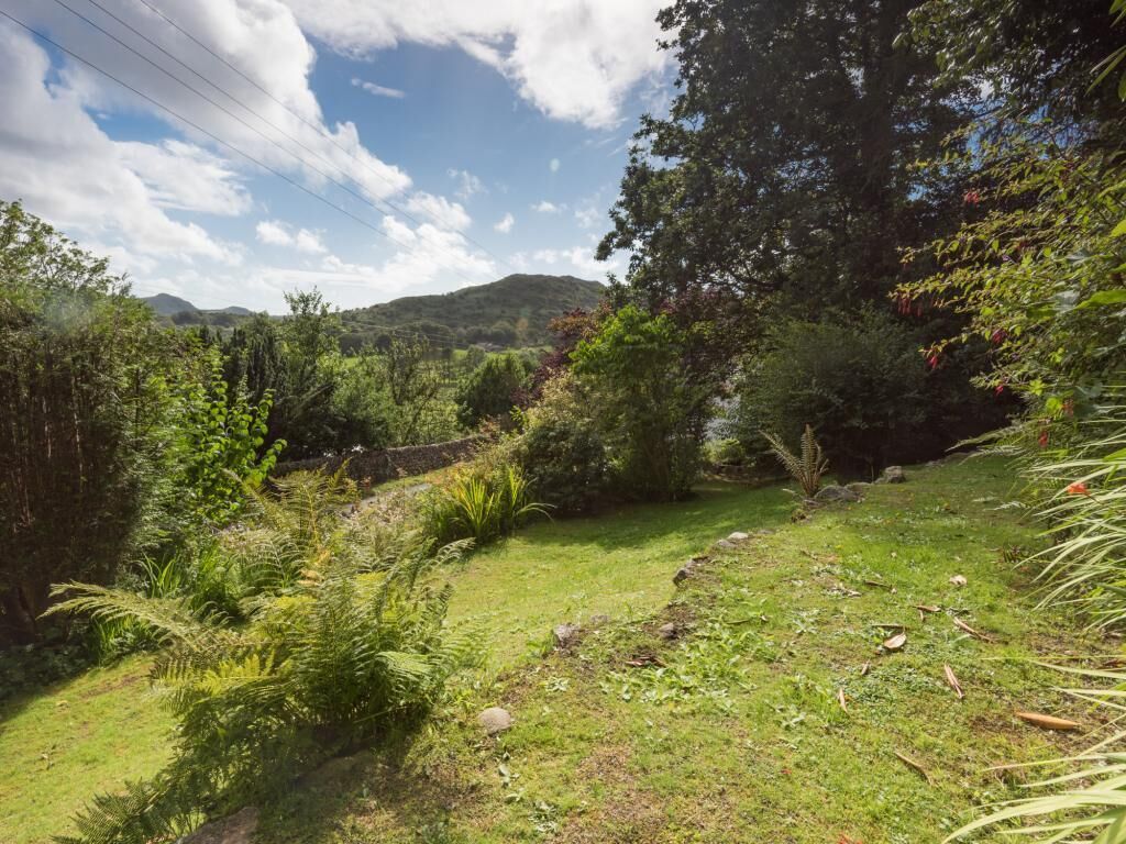 A lush garden with diverse vegetation and a stone wall.