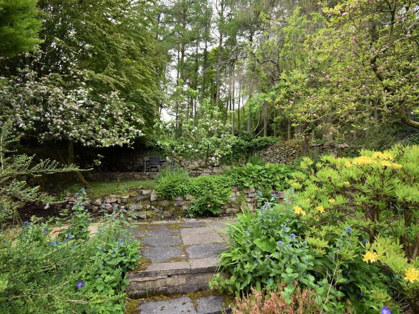 A stone pathway leading through a lush garden with various plants and trees.