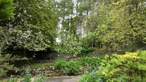 Ein gepflasterter Weg führt durch einen üppigen Garten mit verschiedenen Pflanzen und Bäumen.
