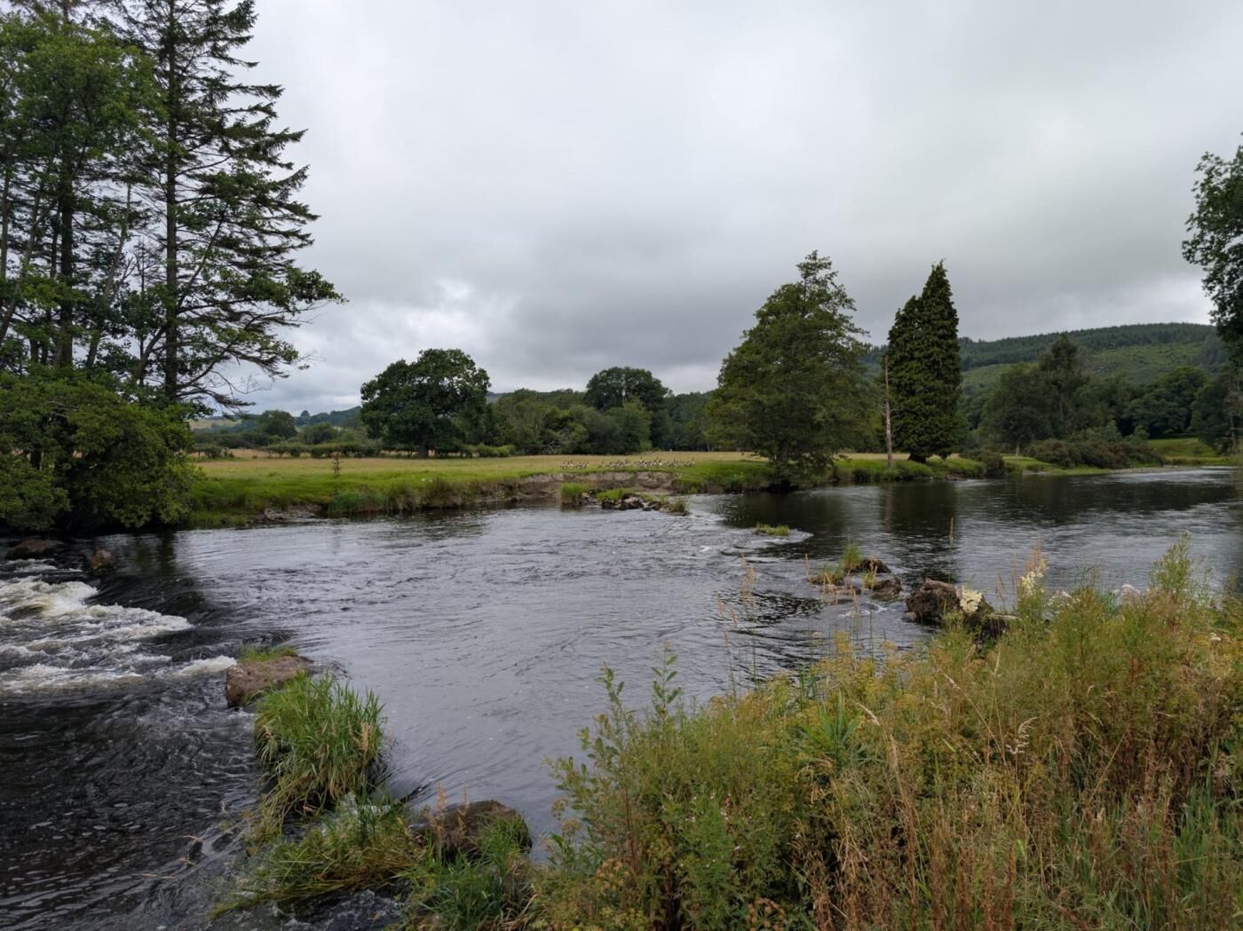 Une rivière qui traverse un paysage naturel, avec des arbres et des zones herbeuses.