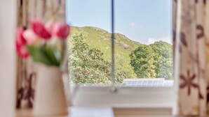 Ein Fenster mit Blick auf einen grünen Hügel und Bäume, ein Heizkörper und eine Vase mit Blumen.