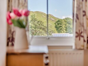 Ein Fenster mit Blick auf einen grünen Hügel und Bäume, ein Heizkörper und eine Vase mit Blumen.
