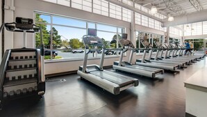 Un gimnasio con varias cintas de correr, una escaladora y ventanas amplias con vistas al exterior.