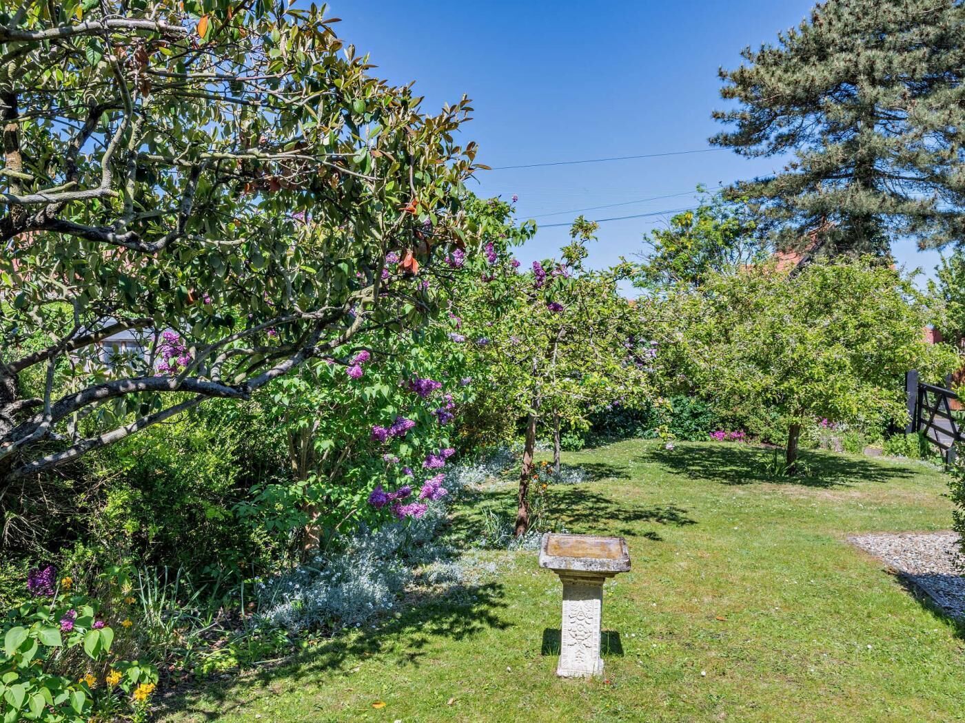 Ein Garten mit Vogeltränke aus Stein, verschiedenen Sträuchern und Bäumen.
