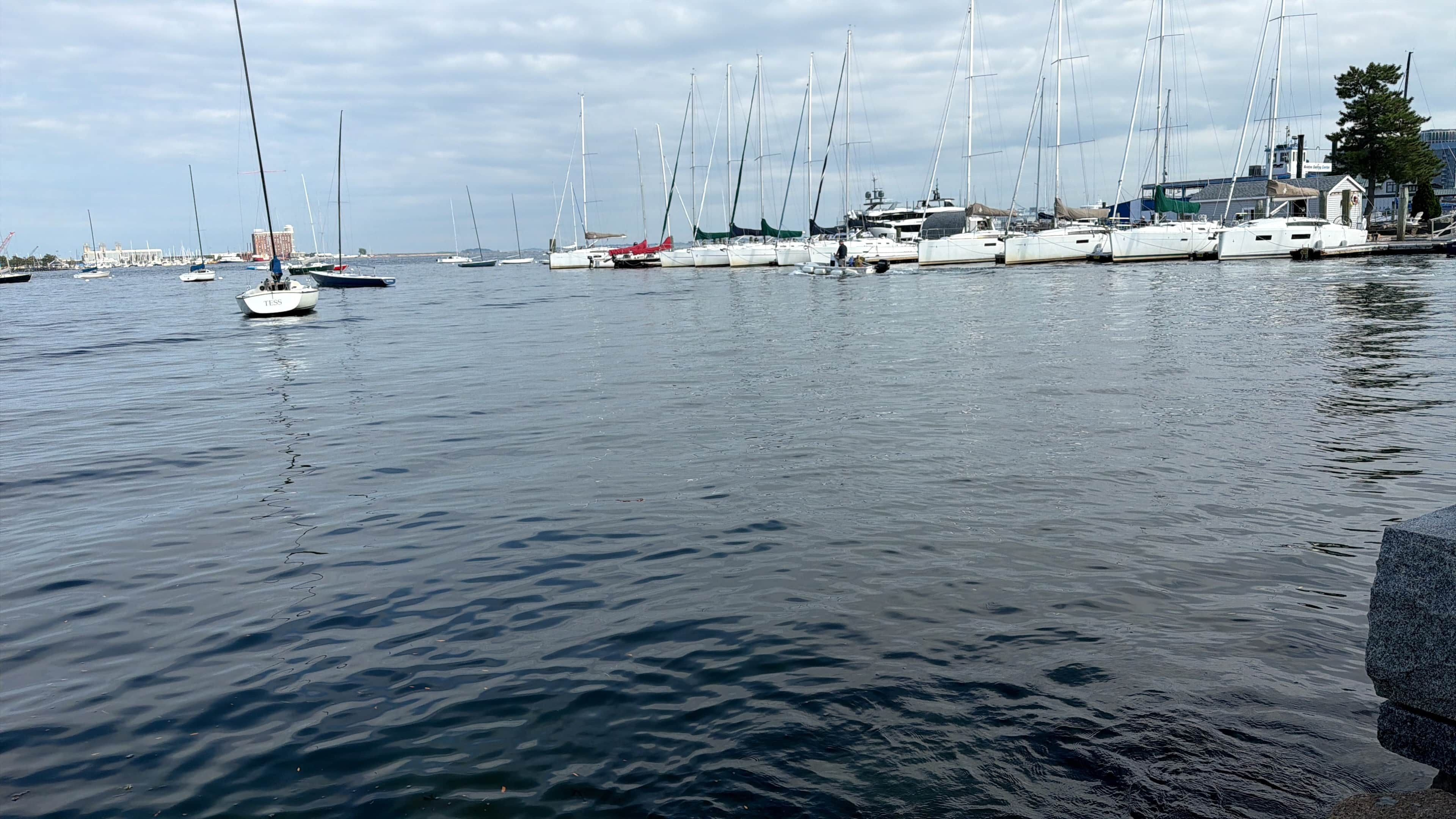 Ein Yachthafen mit mehreren Segelbooten, die dort festgemacht haben.