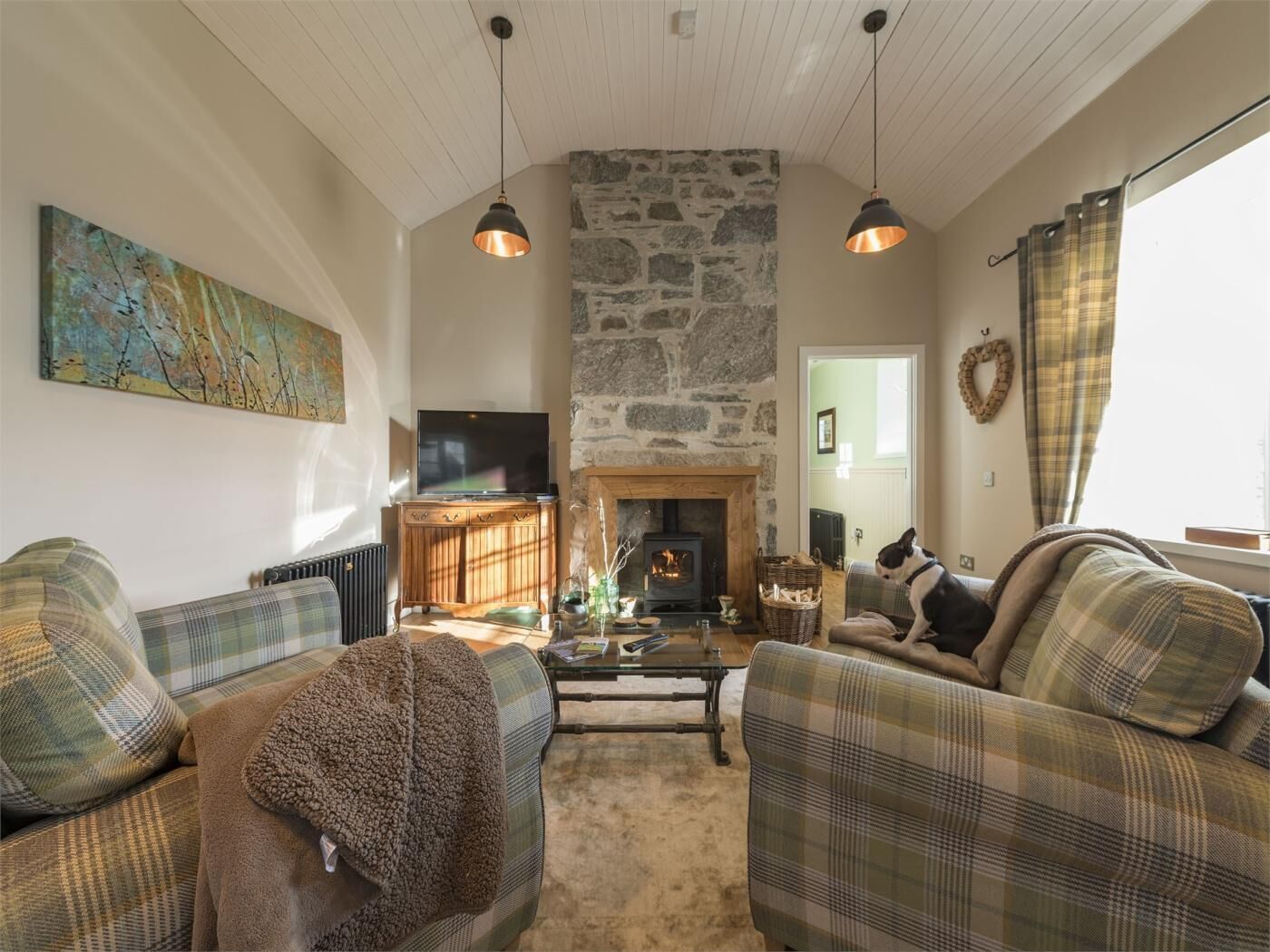 TV, fireplace
