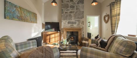 TV, fireplace