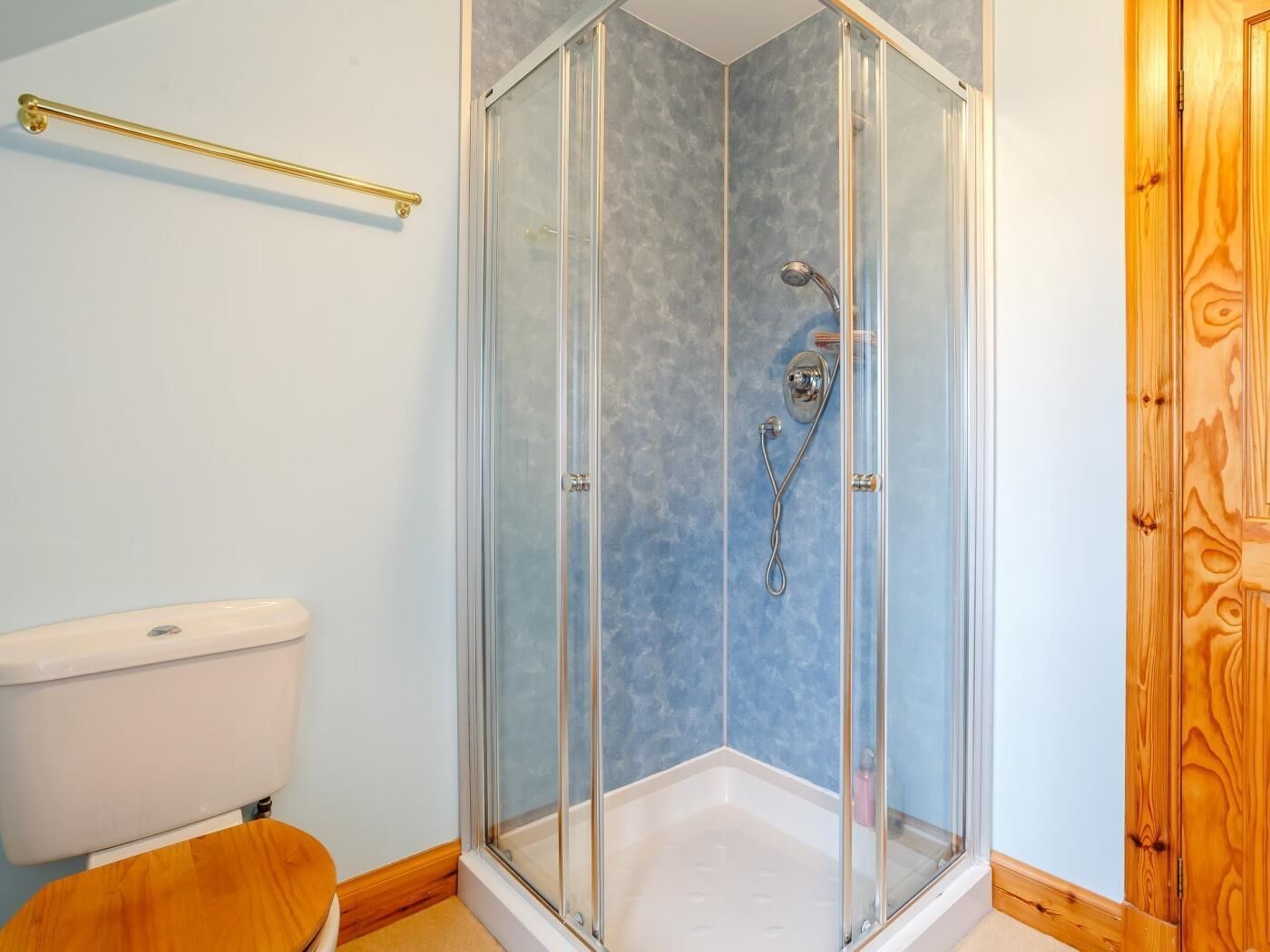 Een douche met glazen deuren, een toilet en een houten deur.