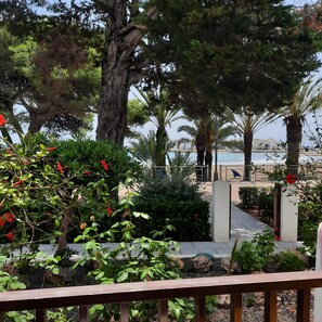 Un giardino con diverse piante e alberi, un sentiero che conduce a una spiaggia e vista sul mare.