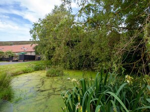 Property grounds - 3 Bed in Chopgate (oc-g0110) (Chop Gate)
