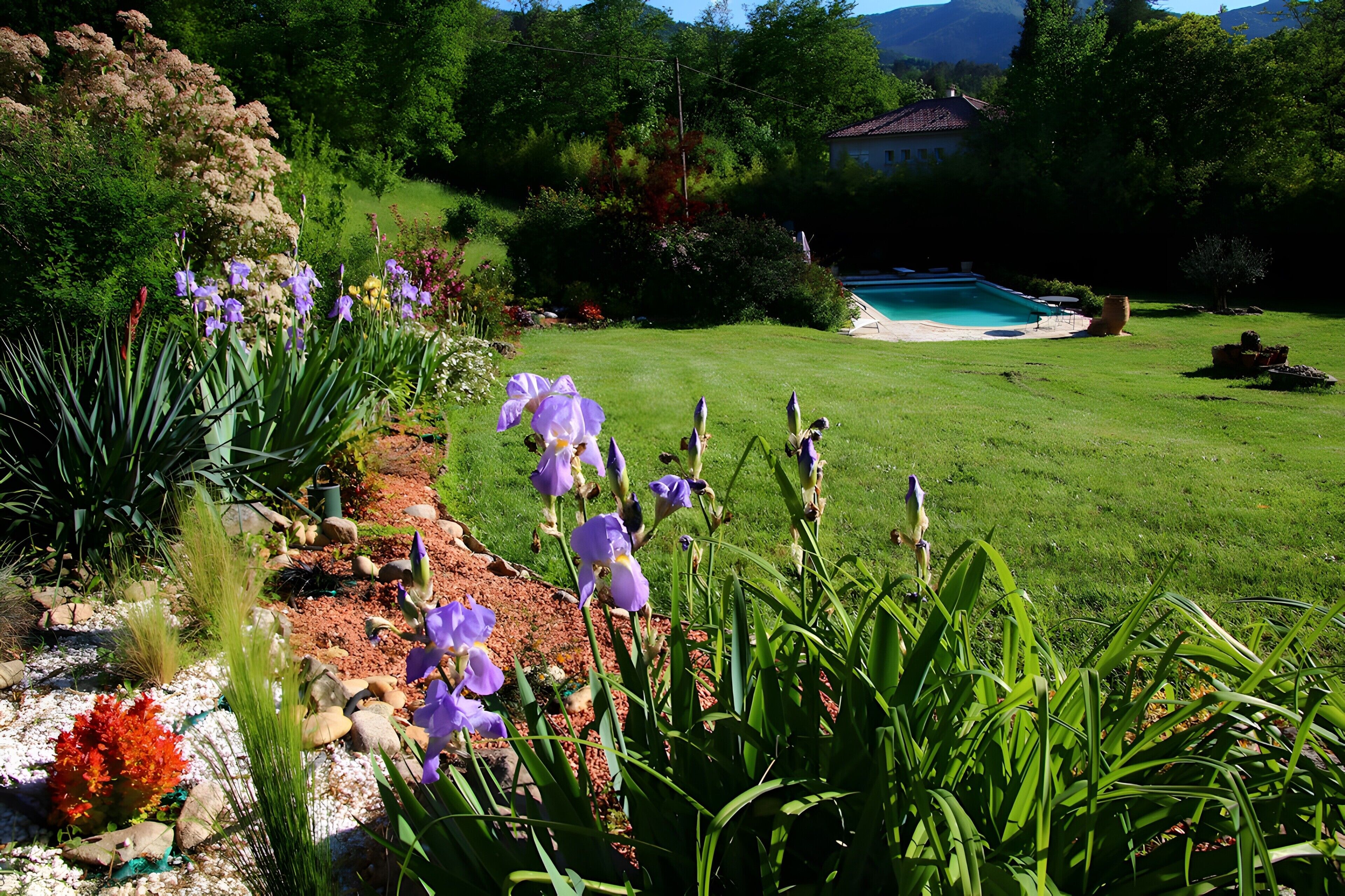 Piscine