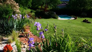 A well-maintained garden with a swimming pool, surrounded by lush greenery and various plants.
