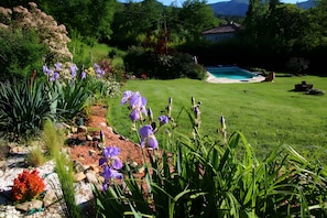 A well-maintained garden with a swimming pool, surrounded by lush greenery and various plants. - Guest Room in Family Home – The Engraving Room at the Foot of the Monts d'Ardèche (Jaujac)