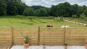 Un espace extérieur clos, délimité par une clôture en bois, avec un chemin de gravier et des plantes en pot.
