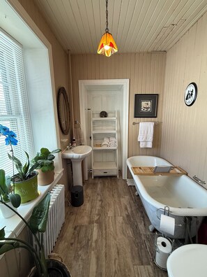 Bathroom - Historic 5-bedroom farmhouse with large yard in charming Audubon (Eagleville)