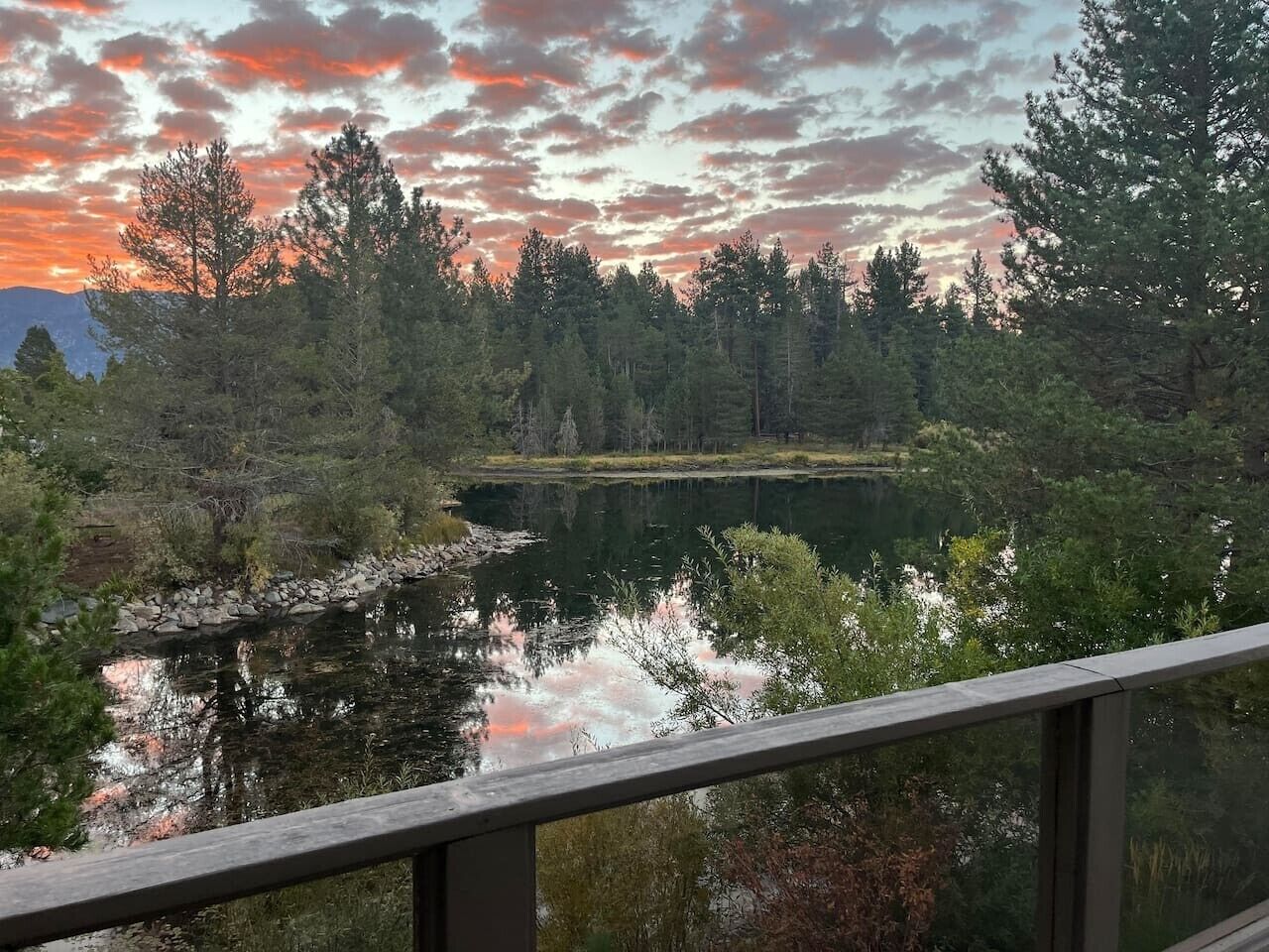 Blick auf einen See mit Bäumen und einer Holzterrasse.